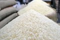 چاول کی برآمد میں جاری مالی سال کے دوران سالانہ بنیاد پر57-76  فیصد اضافہ