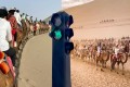 چین کے صحرا میں اونٹوں کیلئے ٹریفک سگنلز نصب