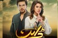 ڈرامہ سیریل ’ڈائن‘ میں اداکاری کیلئے احسن خان نے کتنے کروڑ معاوضہ لیا ؟ اداکار کا انکشاف