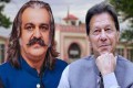 بانی پی ٹی آئی کو اس نظام کے لیے خطرہ سمجھ کر جیل بھیجا گیا : علی امین